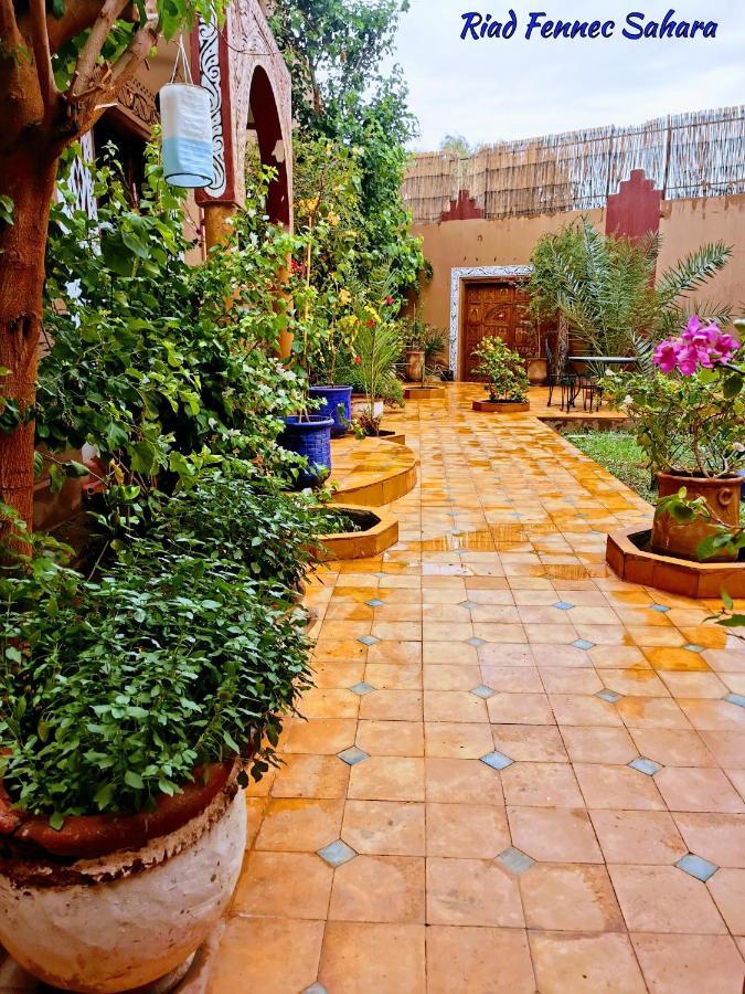 Riad Fennec Sahara Zagora Luaran gambar